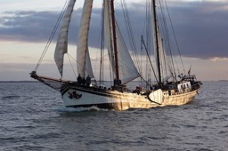 segeln auf IJsselmeer oder Wattenmeer mit der Zweimastklipper 