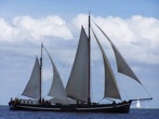segeln auf IJsselmeer oder Wattenmeer mit der Stevenklipper 