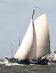 segeln auf IJsselmeer oder Wattenmeer mit der IJsseltjalk 