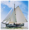 segeln auf IJsselmeer oder Wattenmeer mit der Steilsteven 
