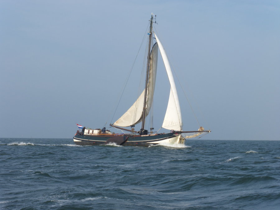 Segeln auf IJsselmeer oder Wattenmeer mit der Friesische Einmasttjalk Vertrouwen ab Enkhuizen