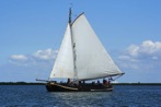 segeln auf IJsselmeer oder Wattenmeer mit der Bolltjalk